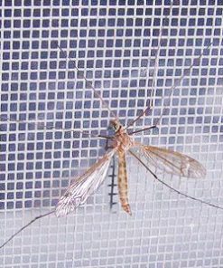 Lưới Chống Côn Trùng Inox